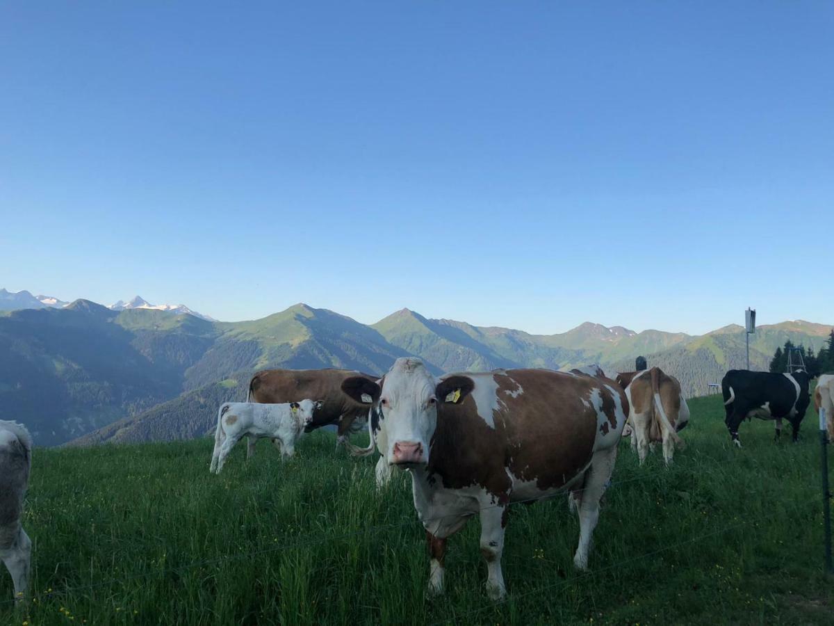 Familienbauernhof - Leogang Apartments Weissbacher المظهر الخارجي الصورة